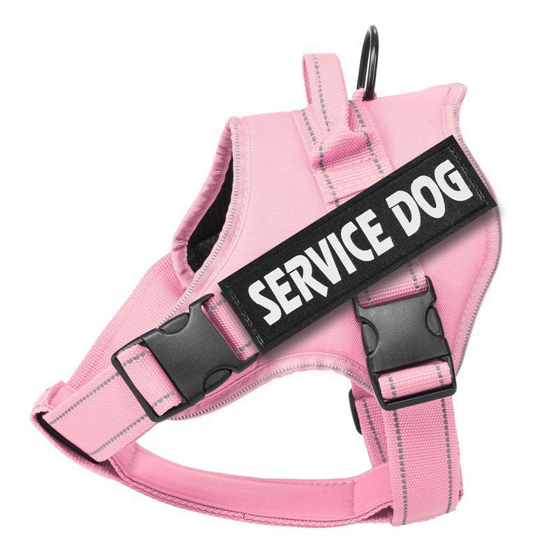 1ebb213f-c006-4b72-ba89-c251225384a4